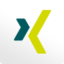 Logo Icon XING